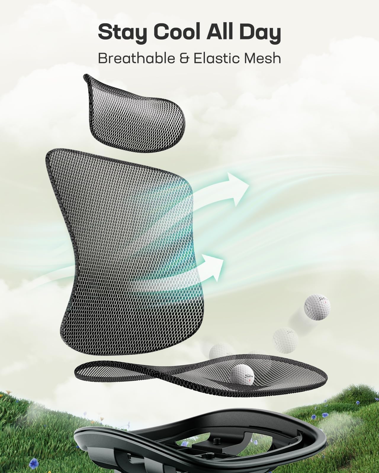 Ergonomic Mesh Desk Chair with Adjustable Lumbar Support, 2D Headrest & Armrests, Home Office Chair, Black